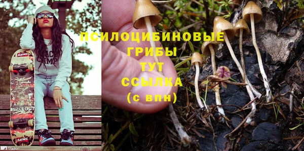 бошки Абаза