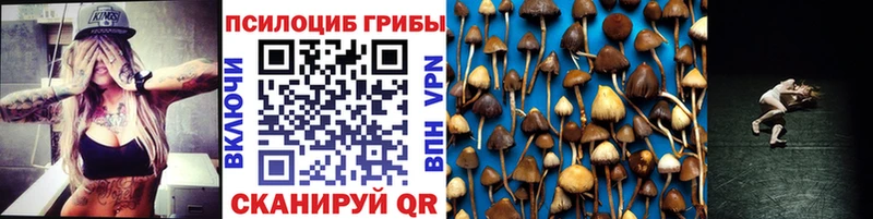 Псилоцибиновые грибы Magic Shrooms  как найти наркотики  Тбилисская 
